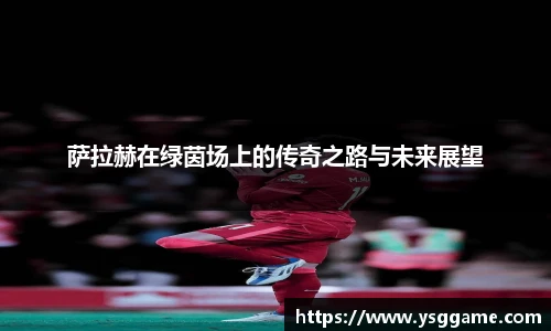 悟空体育
